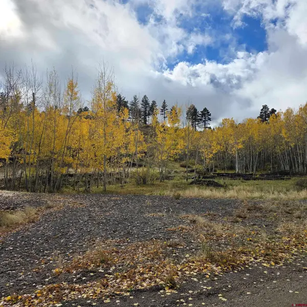 302 Rickel Circle, South Fork, CO 81154