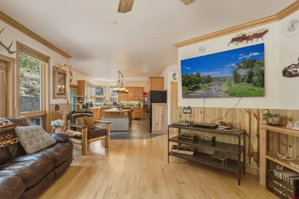 465 Skyline Dr, South Fork, CO 81154