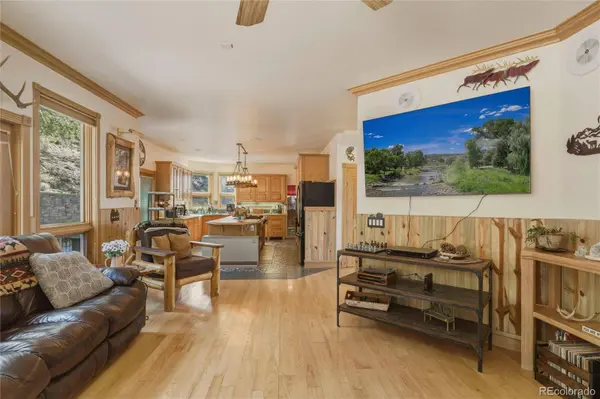 465 N Skyline DR, South Fork, CO 81154