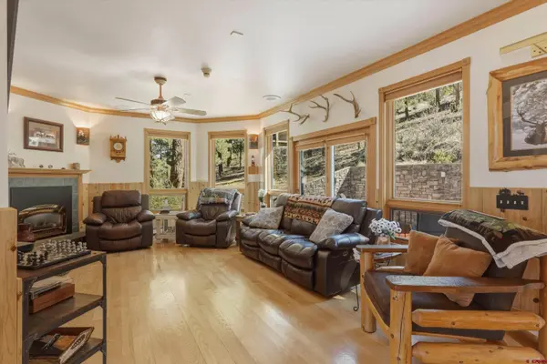 465 Skyline Dr, South Fork, CO 81154