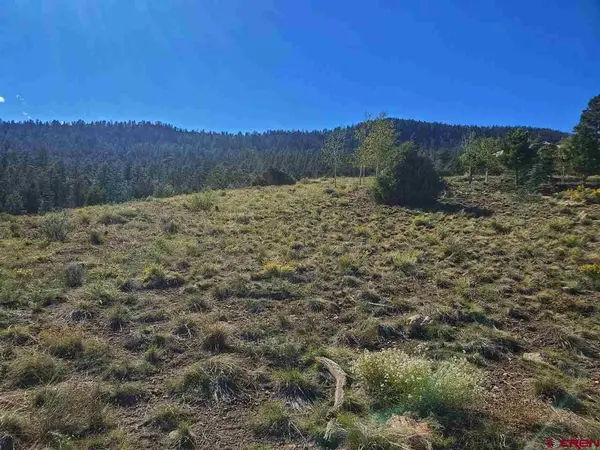 120 Fairway Ridge Lane, South Fork, CO 81154