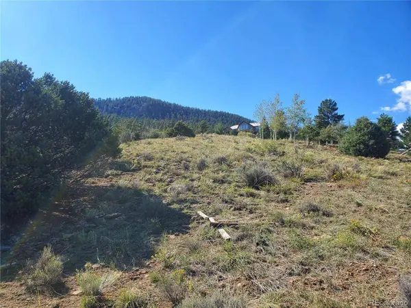 120 Fairway Ridge LN, South Fork, CO 81154