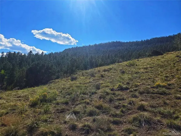 120 Fairway Ridge LN, South Fork, CO 81154