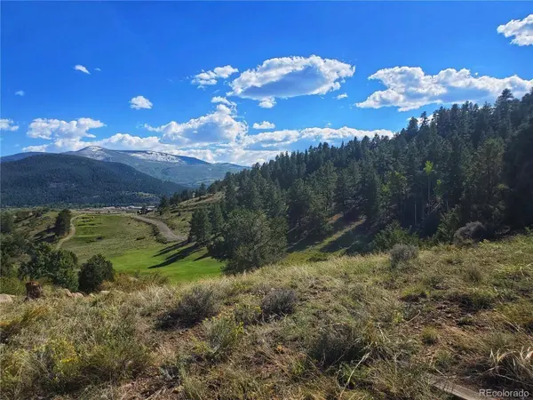 120 Fairway Ridge LN, South Fork, CO 81154