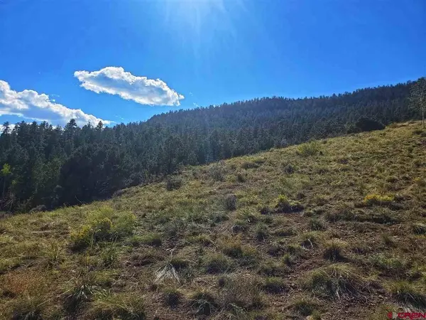 120 Fairway Ridge Lane, South Fork, CO 81154