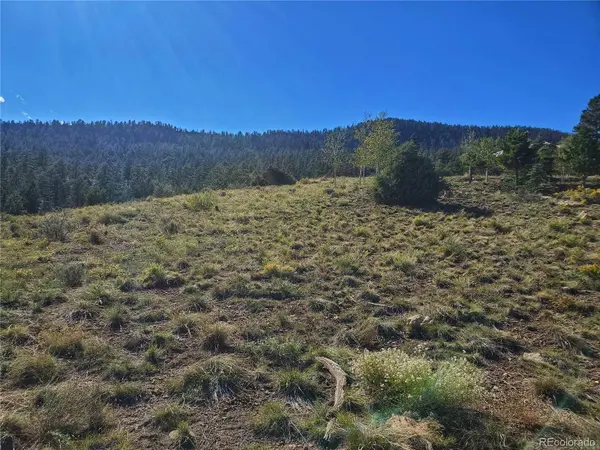 120 Fairway Ridge LN, South Fork, CO 81154