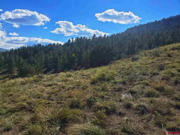 120 Fairway Ridge Lane, South Fork, CO 81154