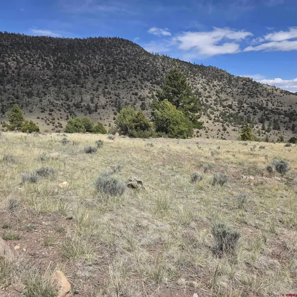 366 Timberline Trail, South Fork, CO 81154