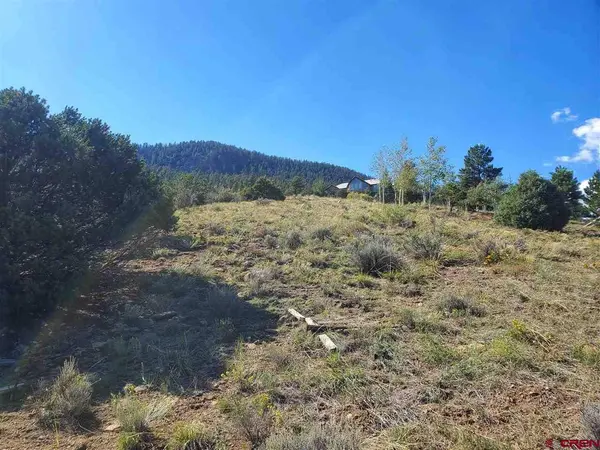 120 Fairway Ridge Lane, South Fork, CO 81154