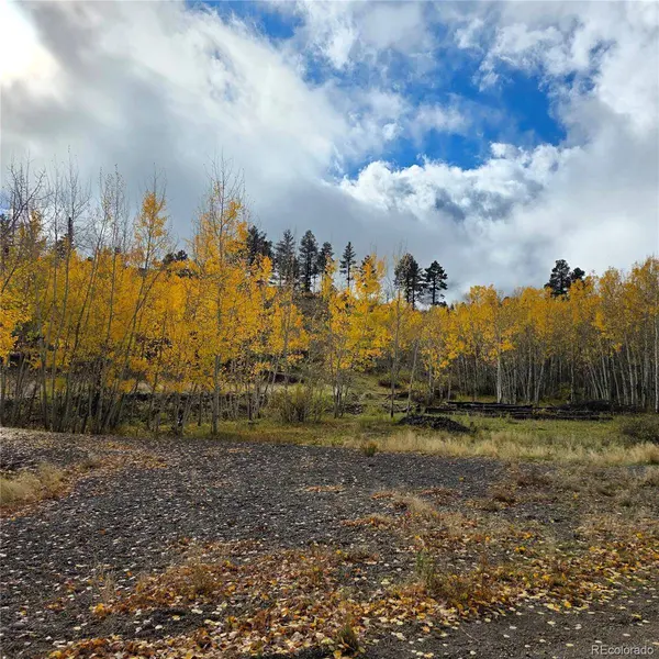 302 Rickel CIR, South Fork, CO 81154