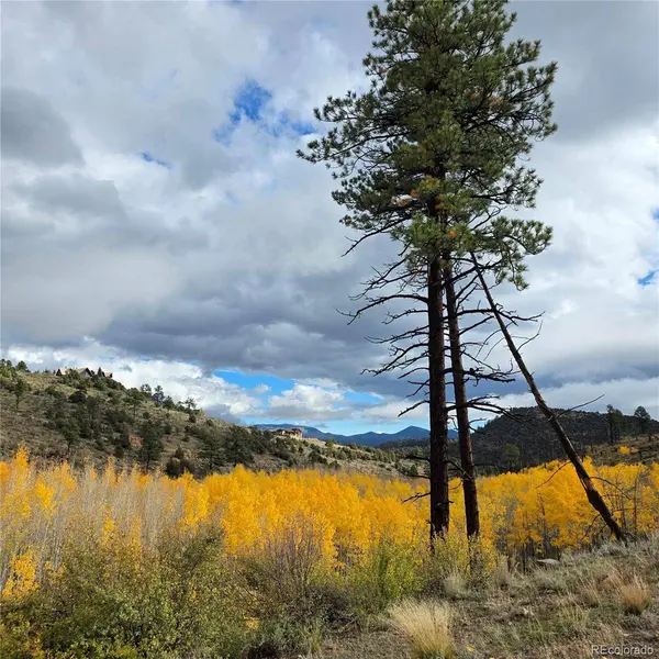 302 Rickel CIR, South Fork, CO 81154