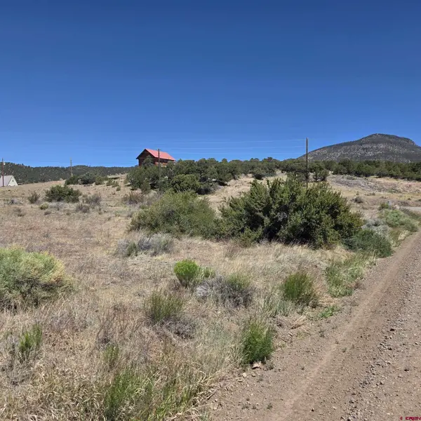121 Neal Rd, South Fork, CO 81154