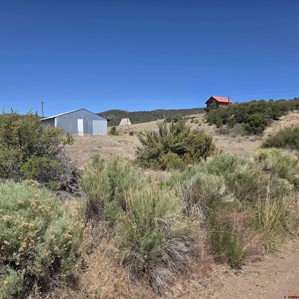 121 Neal Rd, South Fork, CO 81154