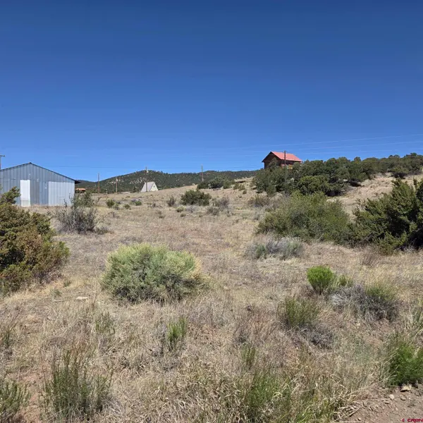 121 Neal Rd, South Fork, CO 81154