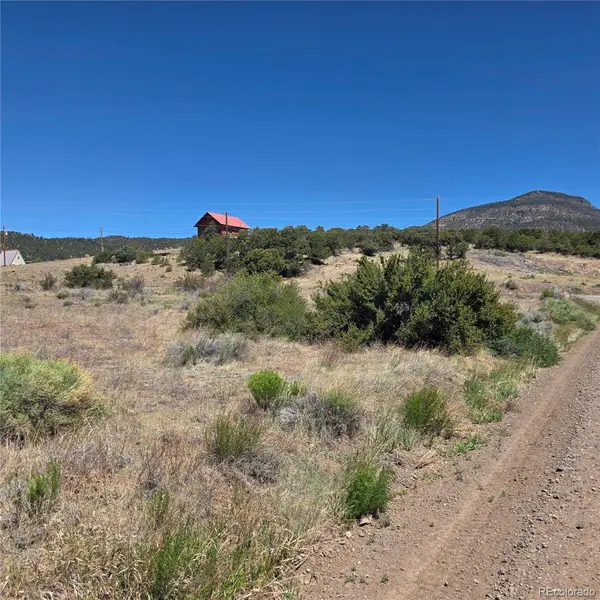 121 Neal Rd, South Fork, CO 81154