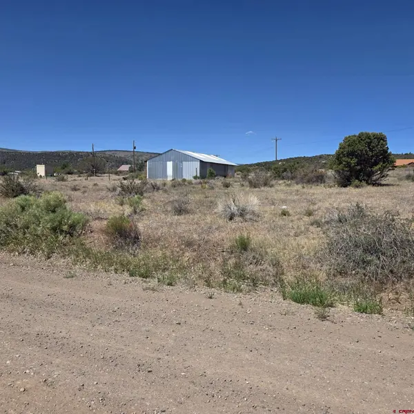 121 Neal Rd, South Fork, CO 81154