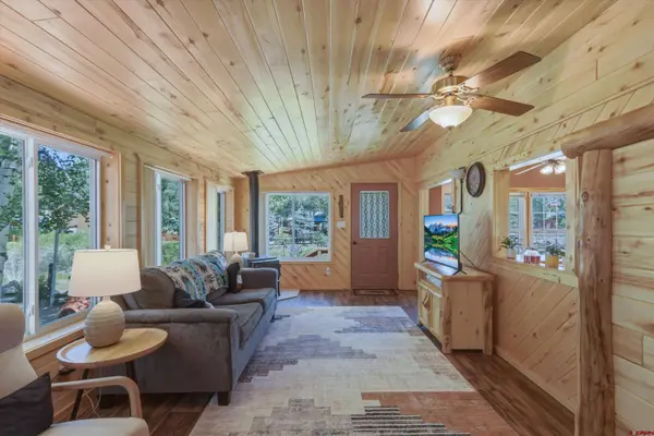 43 Denette Lane, South Fork, CO 81154