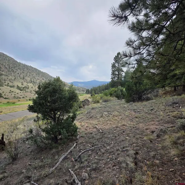 1139 Rio Grande Club Trail, South Fork, CO 81154