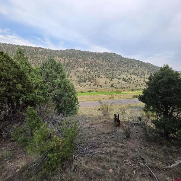 1139 Rio Grande Club Trail, South Fork, CO 81154