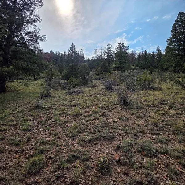 1139 Rio Grande Club TRL, South Fork, CO 81154