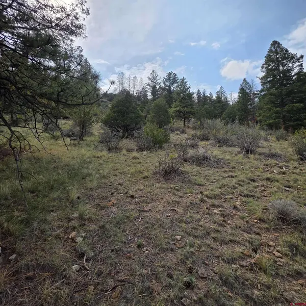 1139 Rio Grande Club Trail, South Fork, CO 81154