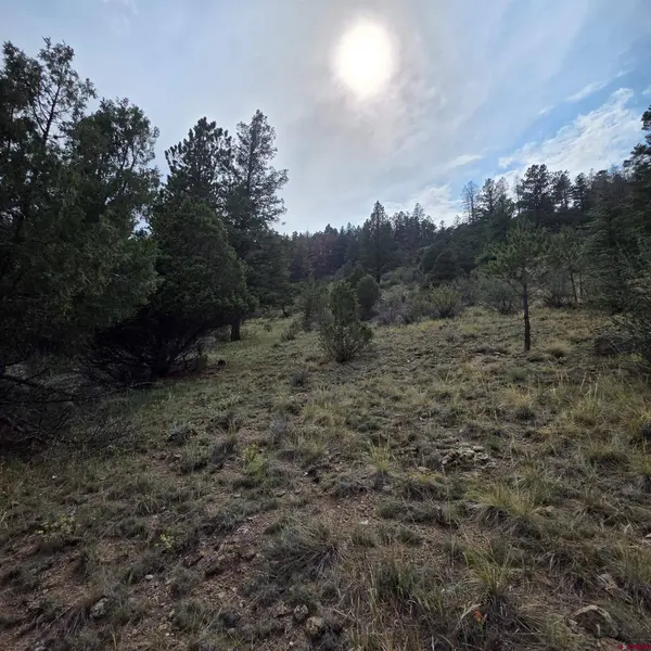 1139 Rio Grande Club Trail, South Fork, CO 81154