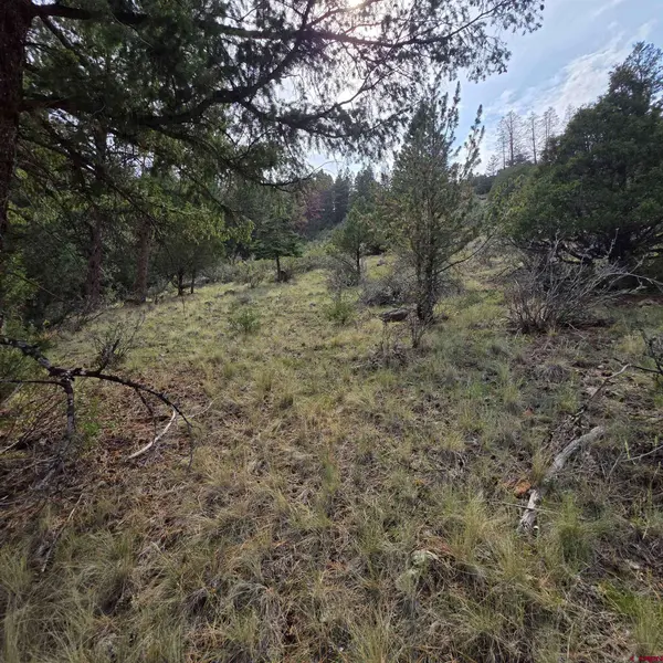 1139 Rio Grande Club Trail, South Fork, CO 81154