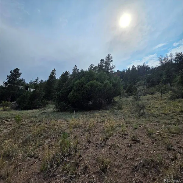 1139 Rio Grande Club TRL, South Fork, CO 81154