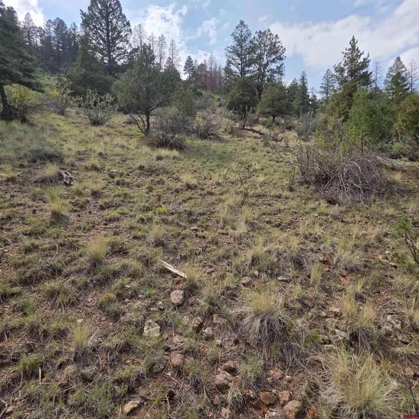 1139 Rio Grande Club Trail, South Fork, CO 81154