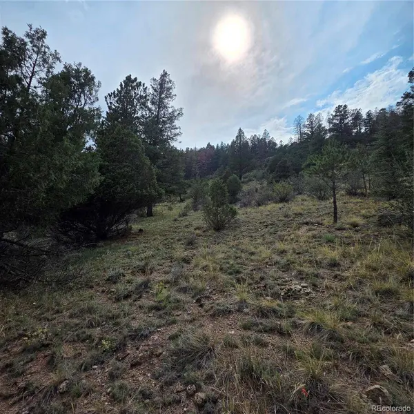 1139 Rio Grande Club TRL, South Fork, CO 81154
