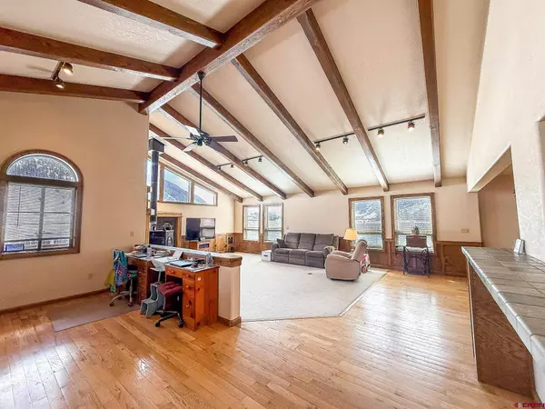 206 La Font Drive, Creede, CO 81130