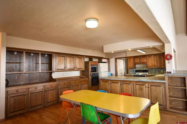 206 La Font Drive, Creede, CO 81130