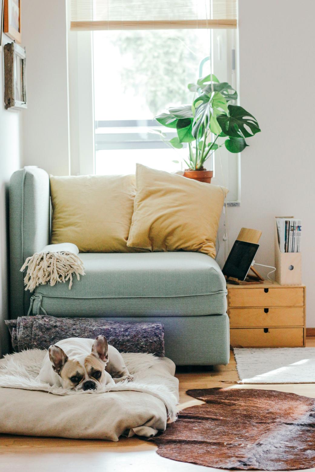 3 Pro Home Pricing Strategies That Pay