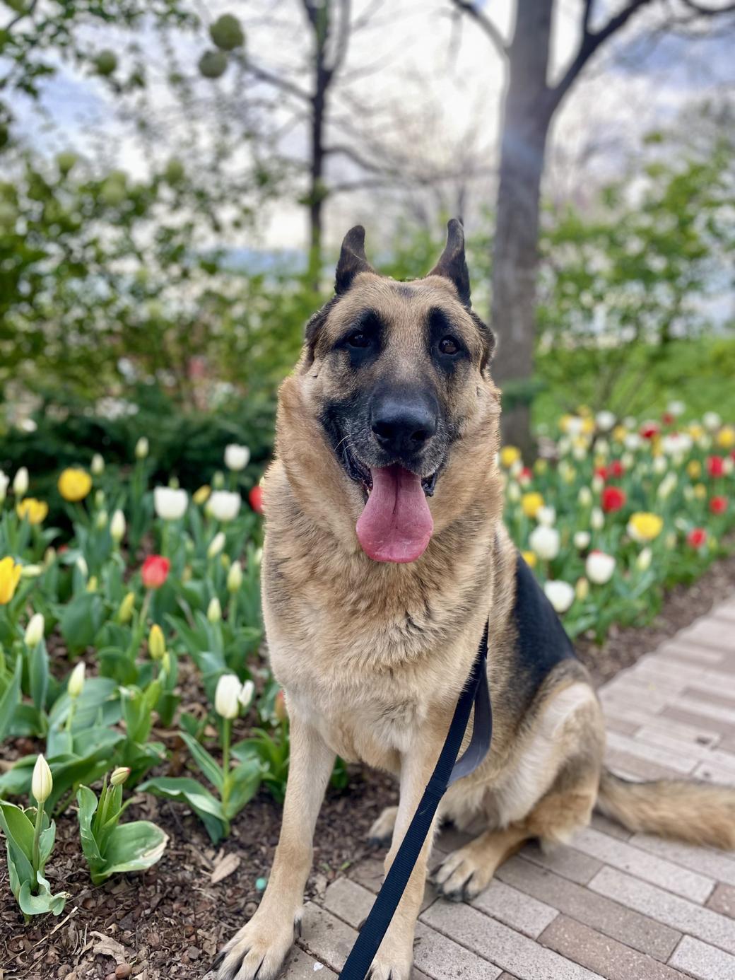Top 10 Things to Do This Spring in OKC