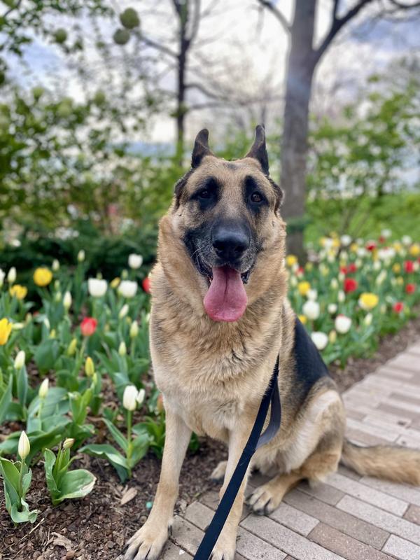 Top 10 Things to Do This Spring in OKC