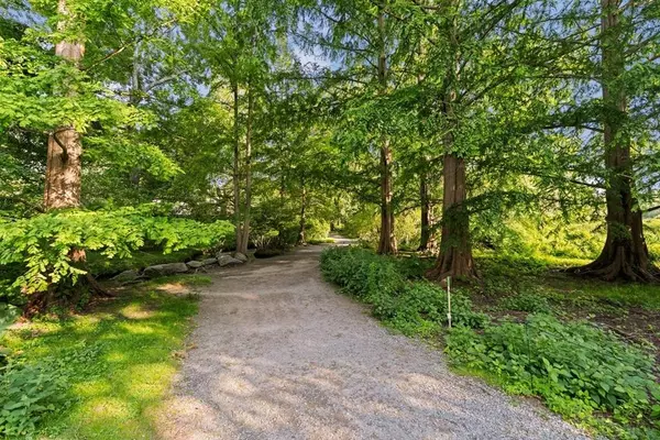 35 Eldridge Road #209, Boston, MA 02130