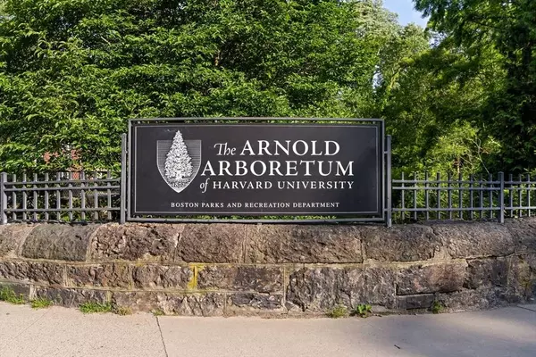 35 Eldridge Road #209, Boston, MA 02130