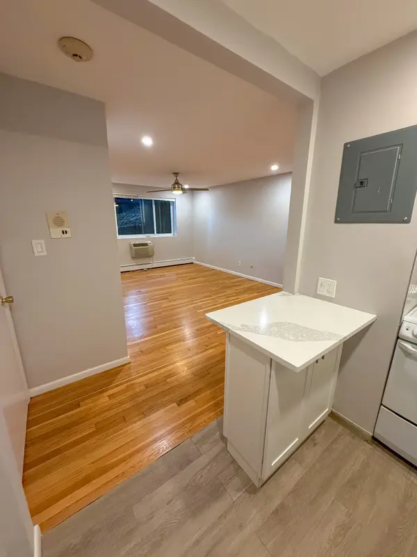 171 South St #10B, Jamaica Plain, MA 02130-3919