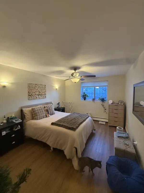 171 South St #1A, Jamaica Plain, MA 02130-3919
