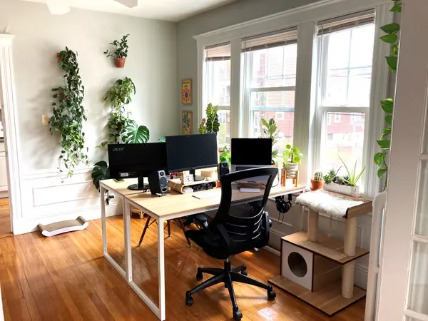 50 Boylston St #2R, Jamaica Plain, MA 02130