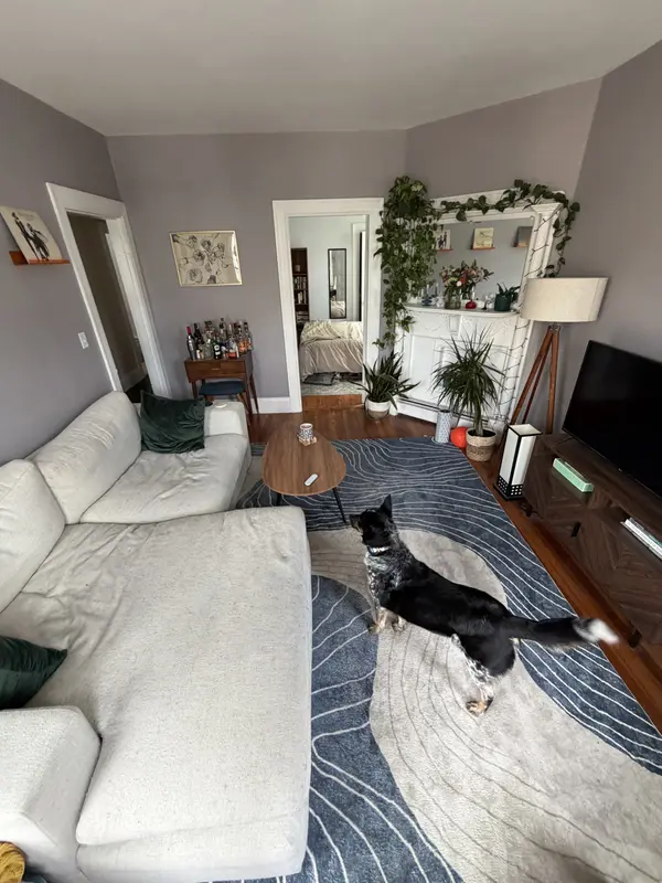 11 Spalding St #2, Jamaica Plain, MA 02130-3233