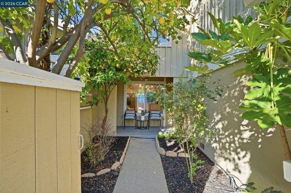 208 Siskiyou Ct, Walnut Creek, CA 94598