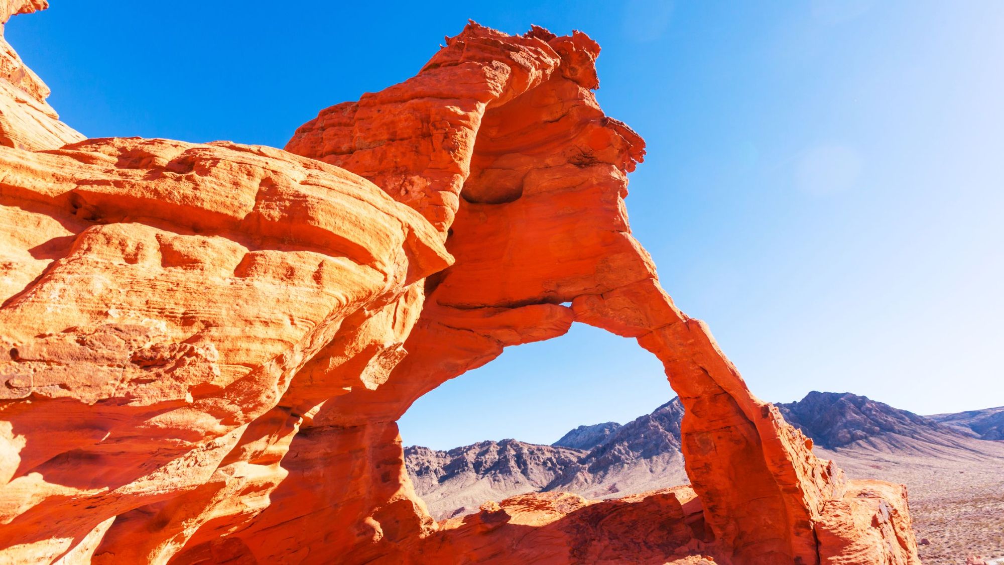 Find Your Home Where the Outdoors Comes Alive in Las Vegas & Henderson real estate gorton group reatlor