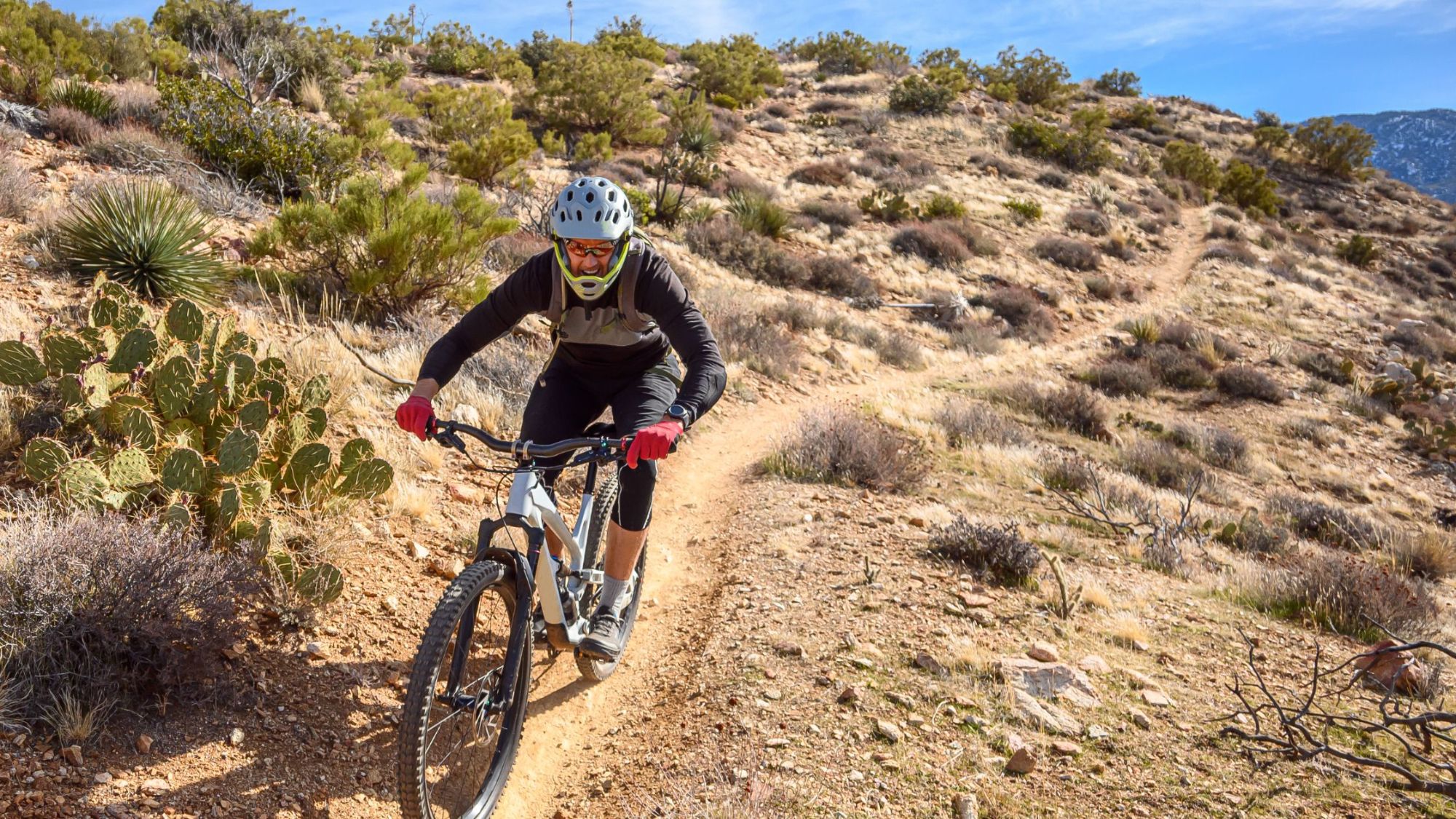 Find Your Home Where the Outdoors Comes Alive in Las Vegas & Henderson real estate gorton group reatlor