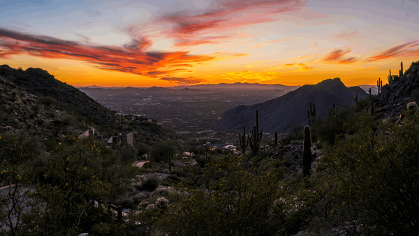 feature image of The Pinnacle of Silverleaf Living