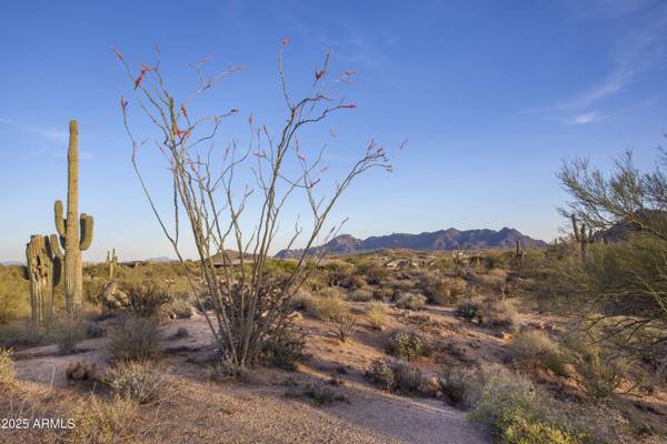 28787 N 114th Street #N & P, Scottsdale, AZ 85262