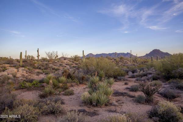28787 N 114th Street #N & P, Scottsdale, AZ 85262