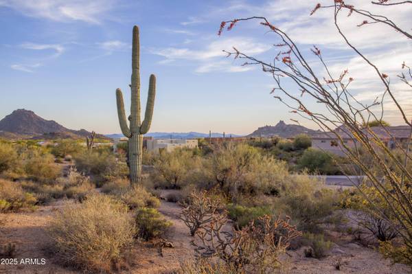 28787 N 114th Street #N & P, Scottsdale, AZ 85262