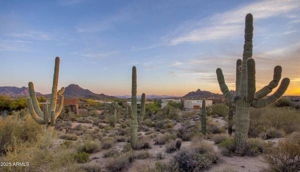28787 N 114th Street #N & P, Scottsdale, AZ 85262