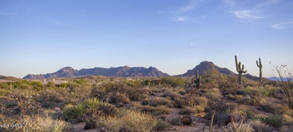 28787 N 114th Street #N & P, Scottsdale, AZ 85262